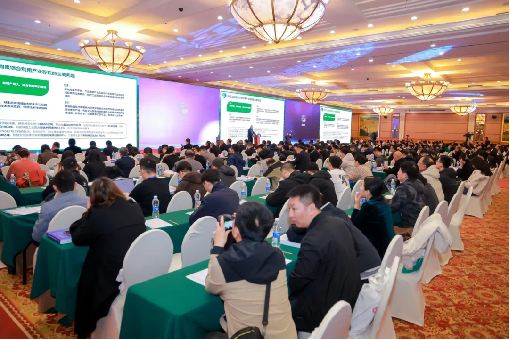 QGM Group 8-ci Pekin-Tianjin-Hebei Sənaye Bərk Tullantılar Forumunda iştirak edib və yaşıl inkişaf üçün yeni bir plan hazırladı